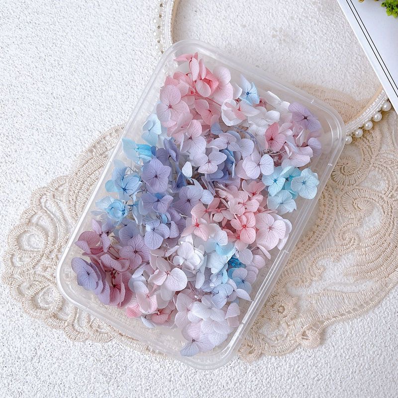 1Box Real Dried Flower Nail De - Dried Flower Bulk ulasan dan harga