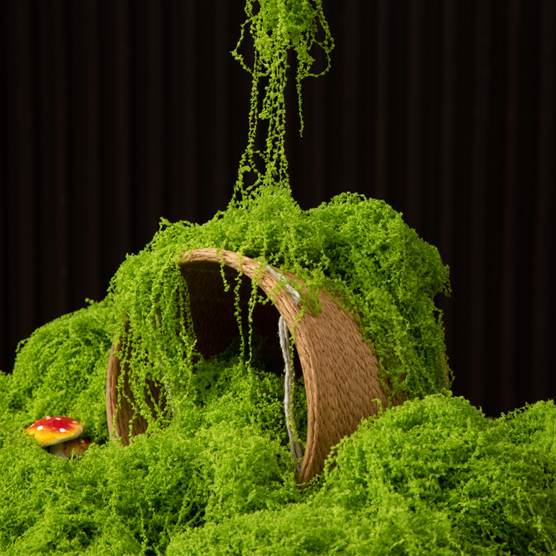 200g Eternal Life Moss DIY Cra - Terrarium Moss Art ulasan dan harga