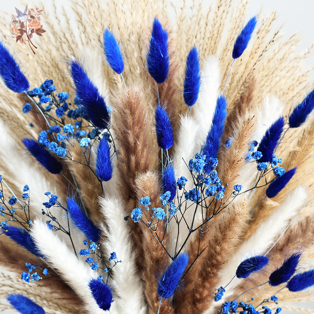 70 Stem Blue Fluffly Rabbit Ta - Dried Flower Bulk ulasan dan harga