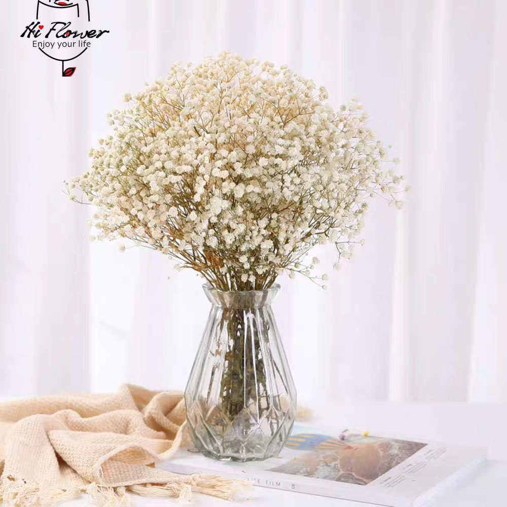 Natural Dried Flowers Preserve - Dried Flower Bulk ulasan dan harga