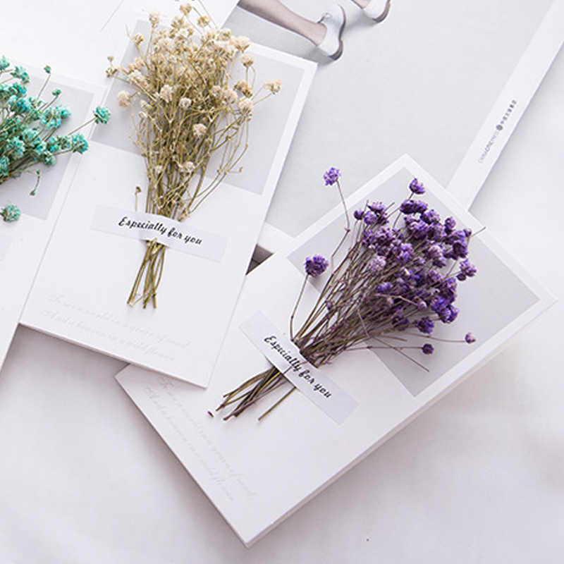 10pcs A Gift Card Wedding Invi - Dried Flower Bulk ulasan dan harga