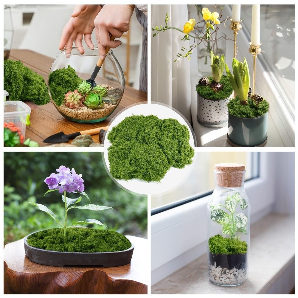 Polyester Artificial Moss Plan - Terrarium Moss Art ulasan dan harga