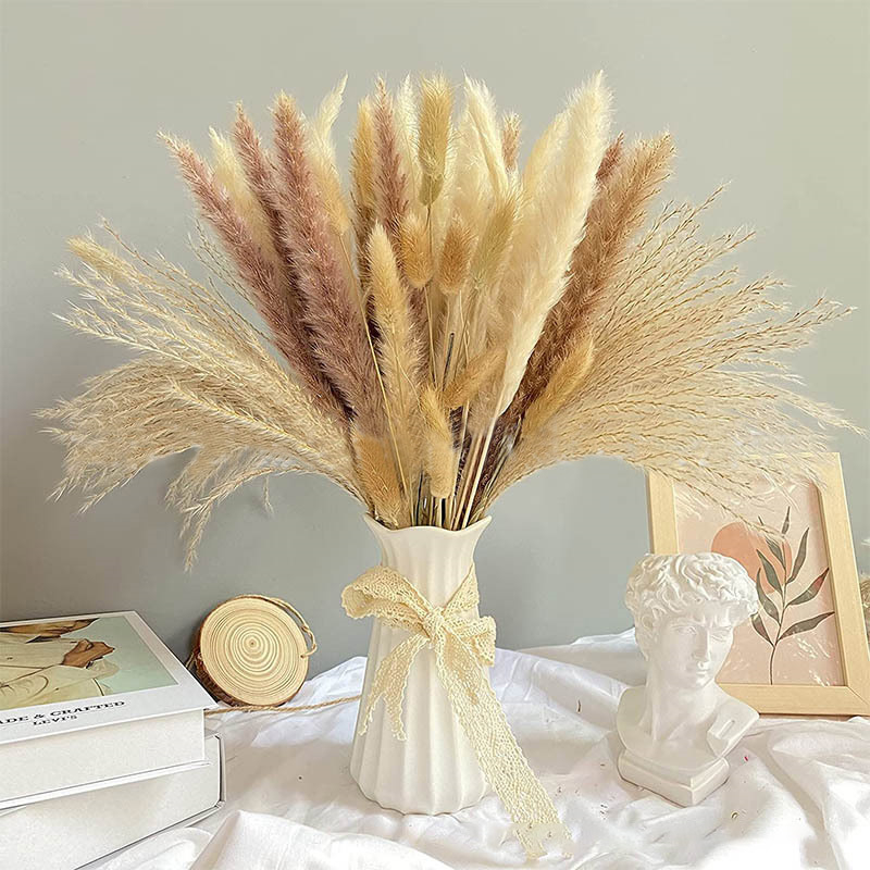 60-100PCS Natural Dried Pampas - Dried Flower Bulk ulasan dan harga