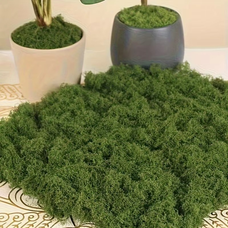 50g Green Fake Moss DIY Crafts - Terrarium Moss Art ulasan dan harga