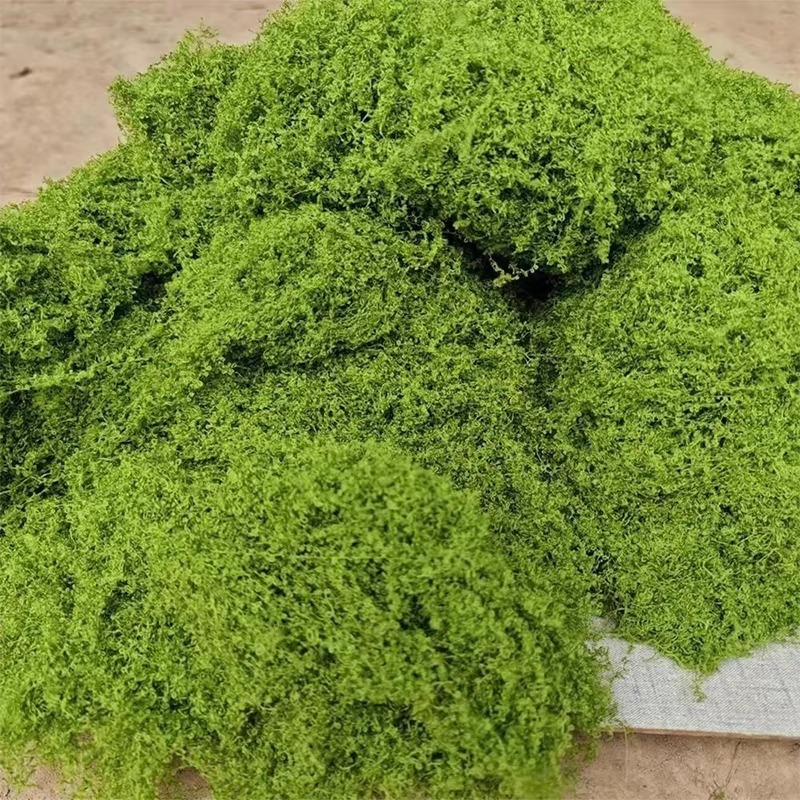 50g Green Fake Moss DIY Crafts - Terrarium Moss Art ulasan dan harga