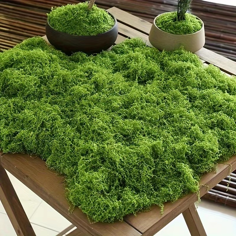 50g Green Fake Moss DIY Crafts - Terrarium Moss Art ulasan dan harga