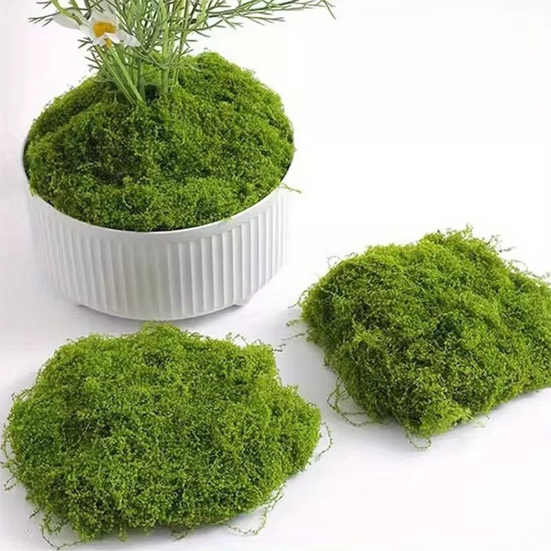 50g Green Fake Moss DIY Crafts - Terrarium Moss Art ulasan dan harga